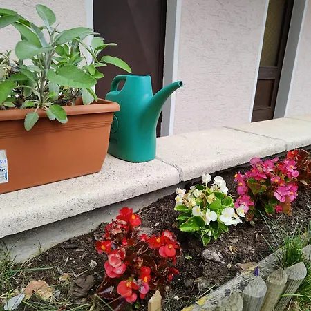 Apartment Da Costantino *