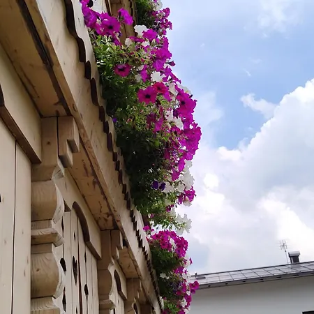 Apartment Da Costantino Padola